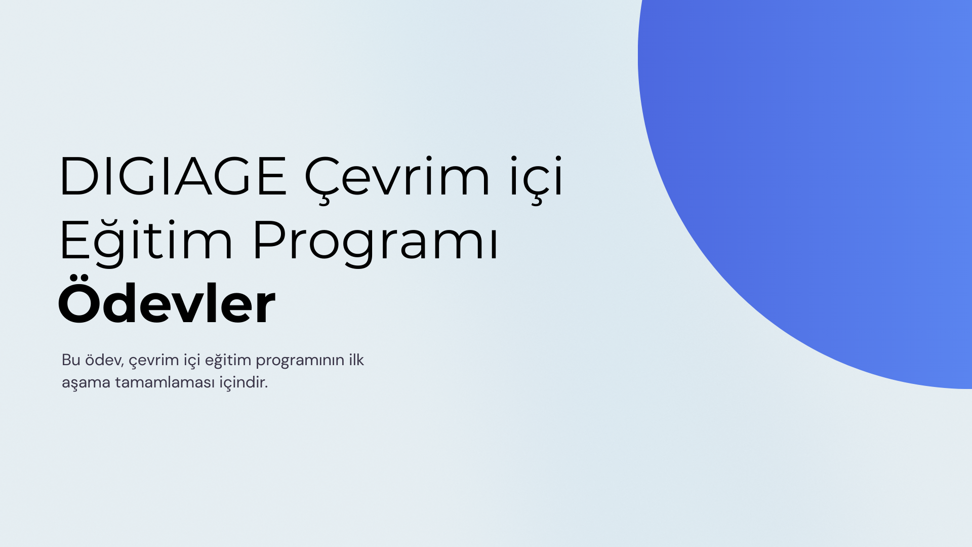 Çevrim İçi Eğitim Programı Mezuniyet Ödevi