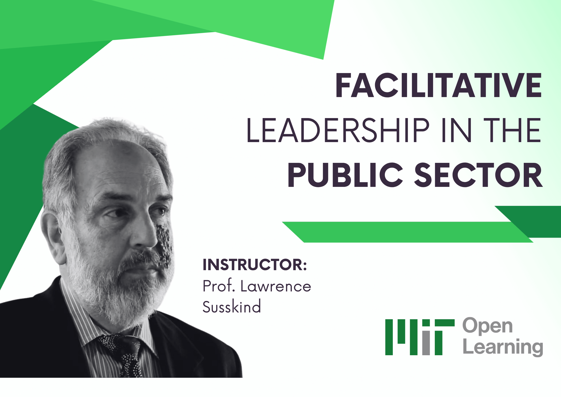 Facilitative Leadership in the Public Sector